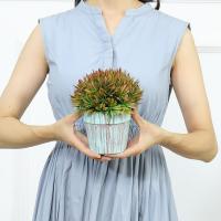 uploads/erp/collection/images/Home Garden/CongDing/XU0610397/img_b/XU0610397_img_b_2